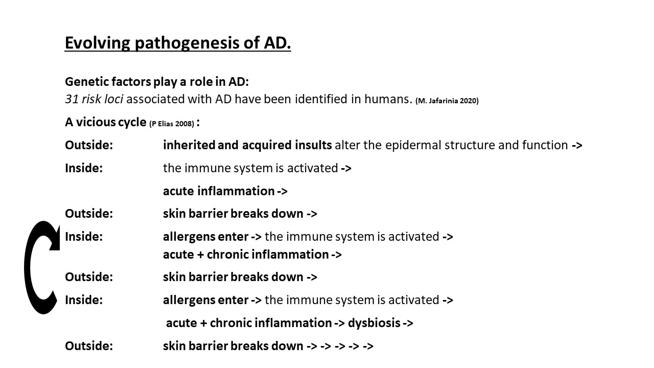 Pruritic_Dog_Webinar_Slide_46.jpg